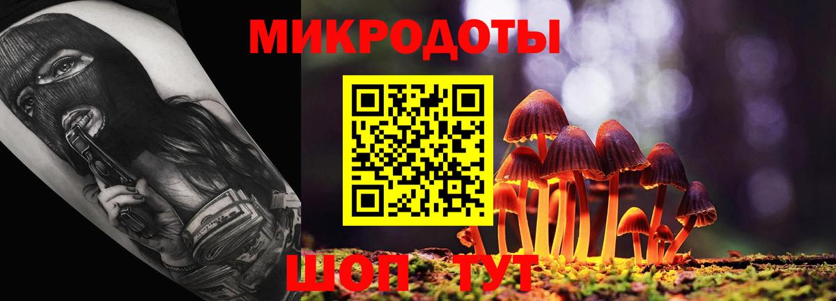 Псилоцибиновые грибы Cubensis Киселёвск